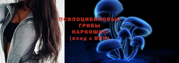 ПСИЛОЦИБИНОВЫЕ ГРИБЫ Верхнеуральск