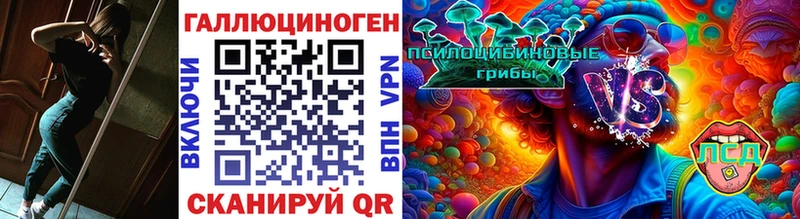 Галлюциногенные грибы Psilocybine cubensis  сколько стоит  Вихоревка 